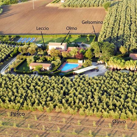 Podere Campi Al Mare Donoratico Exterior foto
